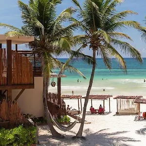 Hotel La Zebra A Colibri Boutique *****